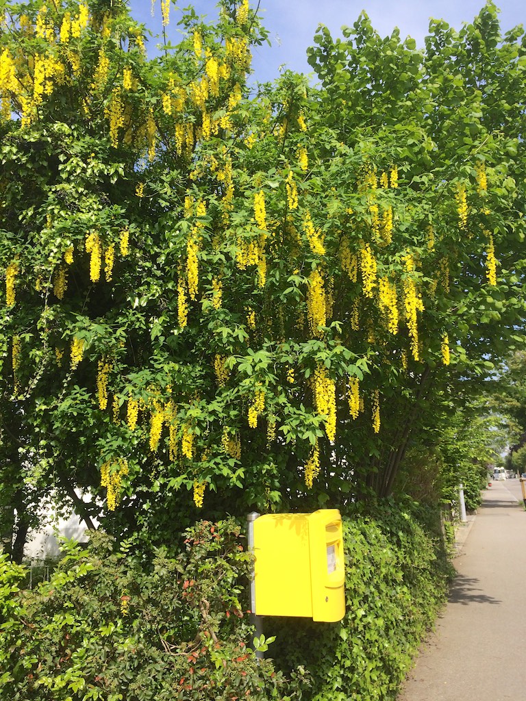2016_05_20 Frühling4