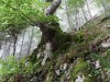 2015_09_10 Ebenalp 11
