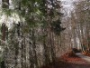 2015_12_11 Burgdorf4