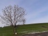 2016_02_12 Kapellenweg2