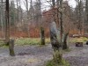 2016_03_02 Chaeferberg 2
