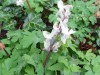 2016_04_06 Wartau 3