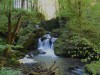 2016_05_05 Beinwil 4