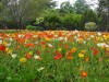 2016_05_23 Park 2