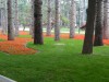 2016_05_23 Park 6