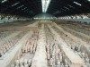 2016_05_27 Xian 2