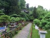 2016_06_03 Suzhou Bonsai 08