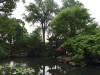 2016_06_03 Suzhou Liu_Garten 7