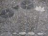 2016_06_03 Suzhou Liu_Garten 9