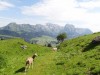 2016_07_08 Toggenburg 11