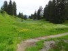 2016_07_08 Toggenburg 13
