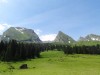 2016_07_08 Toggenburg 14