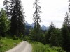 2016_07_08 Toggenburg 19