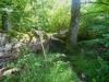 2016_07_28 Murten 6