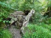 2016_07_28 Murten 7