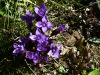 2016_10_07_brienzer_rothorn-8