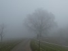 2016_12_09_oberbipp-1