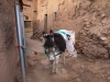 2017_03_17 Ben Haddou-08
