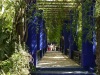 2017_03_19 Jardin Majorelle-09