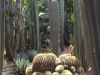 2017_03_19 Majorelle-5