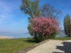 2017_04_09 seeuferweg-1-2