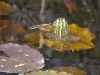 2017_04_24_seleger_moor-8