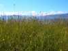 2017_05_05_panorama-2