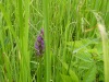 2017_06_09 Kappel-1