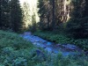 2017_07_12-15 Davos-14
