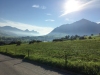 2017_08_14 Stanserhorn-01