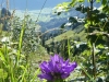 2017_08_14 Stanserhorn-07