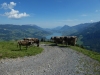 2017_08_24 Lungern-14