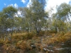 2017_10_08 Cardada-9a