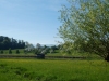 2018_04_27 Bubikon-08