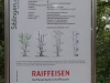 2018_09_14 Randen-1
