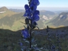 2018_09_28 Druesberg-07