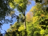 2018_10_06 Erlenbach Tobel-2