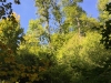 2018_10_06 Erlenbach Tobel-3