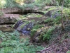 2018_10_06 Erlenbach Tobel-5