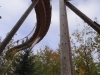 2018_10_09 Baumwipfel-10