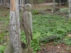 2018_11_09 Beromuenster-12