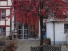 2018_12_14 Neunkirch-8