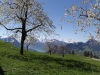 2012_05_04hochstuckli2