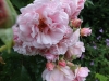 2012_06_20ettenbuehl2