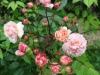 2012_06_20ettenbuehl3