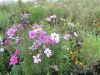 2012_09_08_reichenau_montag1