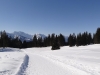 2013_03_01-amden3