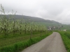 blustwanderung7