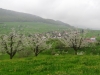 blustwanderung8