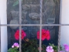 2013_06_09-moerschwil-arbon01